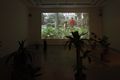 The World as a Backdrop (exhibition view), 2010, Jun Yang, Paris Syndrome, 2007. Ohne Titel (cardboard plants), 2007, Courtesy Galerie Martin Janda, photo: Rainer Iglar